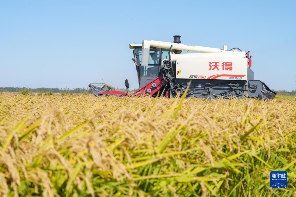 九洲娱城会员备用网址